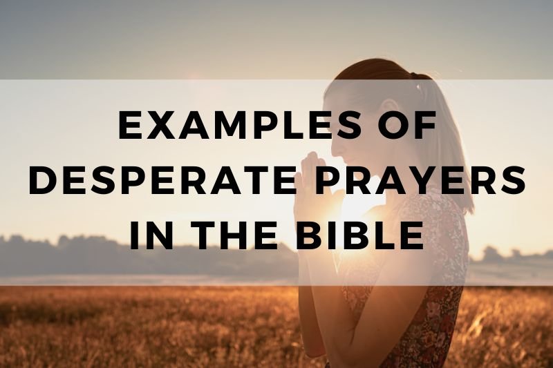Examples of Desperate Prayers in the Bible