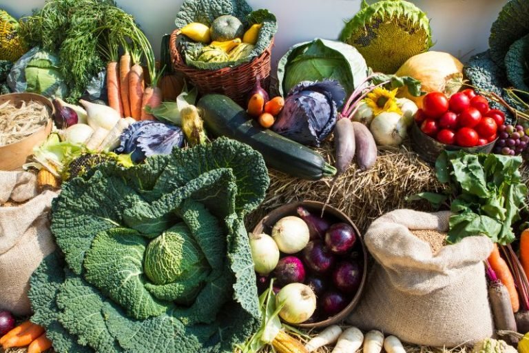 Intercession Prayers for Harvest Festival